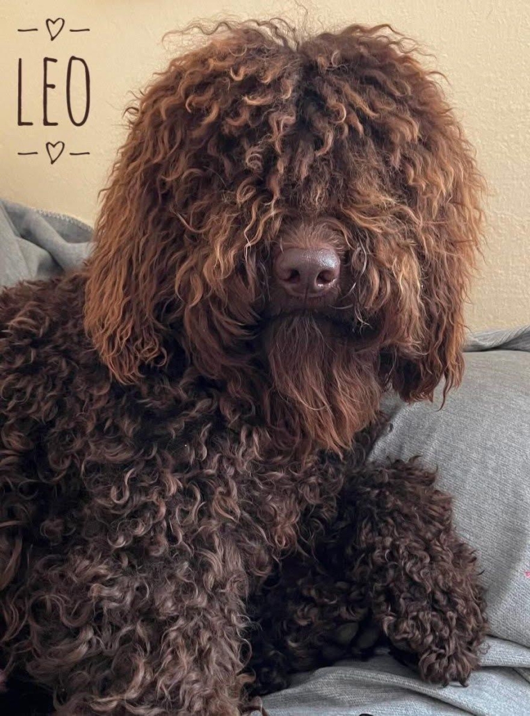 Leo